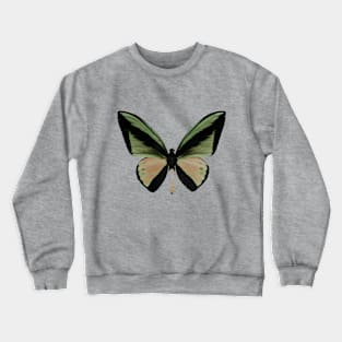 Goliath Birdwing Crewneck Sweatshirt